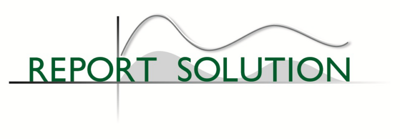 Report Solution Logo